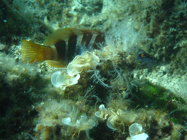 IMG_0541.JPG