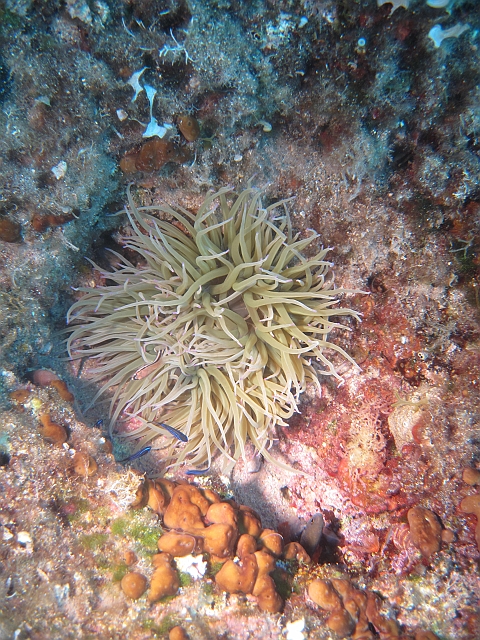 IMG_0693.JPG