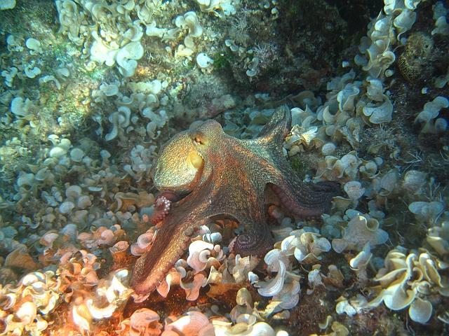 IMG_0812.JPG