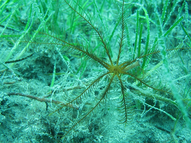 IMG_9061.JPG